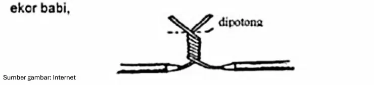 sambungan-pig-tail-ekor-babi